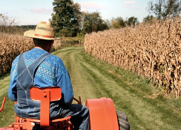 Фермерите могат да наемат работници по схемата за временна заетост