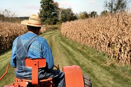 Фермерите могат да наемат работници по схемата за временна заетост