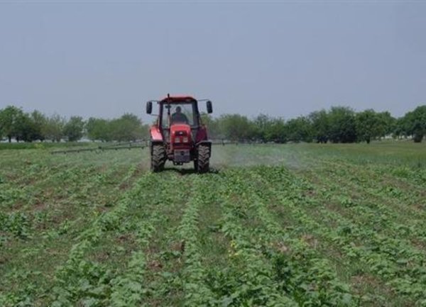 Земеделските стопанства в България са увеличили използваната земеделска площ през последните 10 години, достигайки 3.96 млн. ха