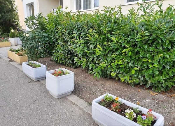 Озеленяват над 180 пространства в софийските квартали