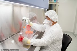 Калифорнийската биотехнологична компания твърди, че е открила антитяло, което може да блокира коронавирусните инфекции