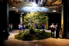 Започва строежът на първия подземен парк в Ню Йорк