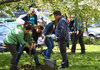 Учени и чиновници садиха дървета за Деня на Земята