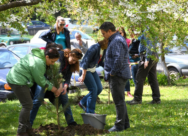 Учени и чиновници садиха дървета за Деня на Земята