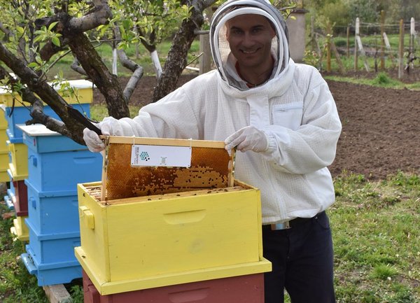 Стартъпът Pollenity с нова платформа Pollenity Honey в подкрепа на родния мед