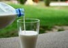 Животновъдите са намалили производството на краве мляко с 5 246 тона