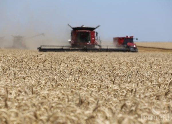 Износът на пшеница от ЕС на се понижили през изминалата година