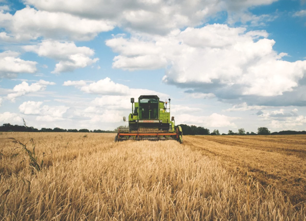 Одобрени са годишните разчети на сметката за средствата от ЕС на ДФ „Земеделие” за 2020 г.