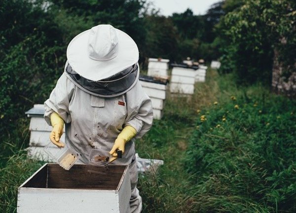 Животновъди и пчелари могат да кандидатстват за държавна помощ след природни бедствия