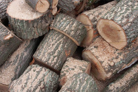 До момента държавните горски предприятия са предоставили над 640 хил. пространствени куб. м. дърва за огрев