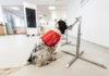 Специално обучени „кучета за откриване на заболявания“ ще надушват коронавируса