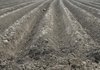 ДФ "Земеделие" изплати 69 млн. лв. субсидия за неплодородни райони