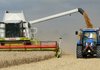 Производството на пшеница расте в световен мащаб