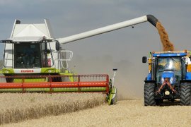 Производството на пшеница расте в световен мащаб