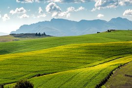 ДФ „Земеделие“ изплати над 58 млн. лева по мярка „Агроекология и климат“