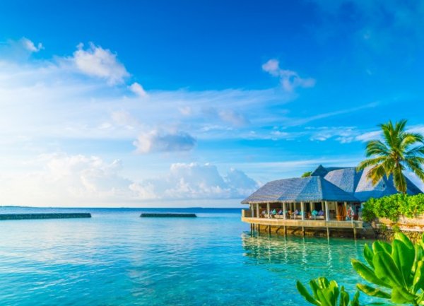 Малдивите отново посрещат туристи
