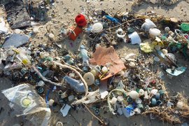 ЕС окончателно прие новите правила за ограничаване на пластмасовите отпадъци