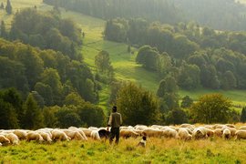 Над 106 700 земеделци кандидатстват за Кампания 2019