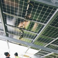 Китай пренасити пазара със соларни панели